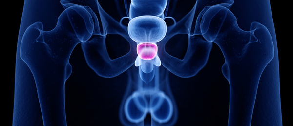 tout savoir sur la prostate