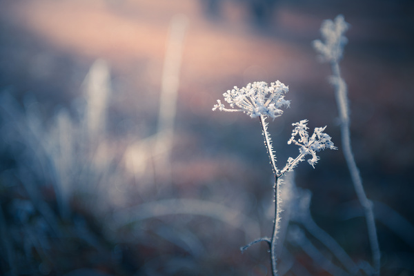 Manque de soleil en hiver